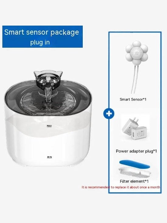 Pet Water Dispenser